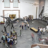 Vlexx freizeittipps senckenberg museum ausstellung dinos dinosaurier ausflug