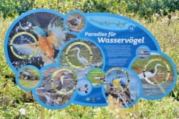 Vlexx ausflugstipp hoppstaedten weiersbach gewaesser erlebnis pfad familienausflug