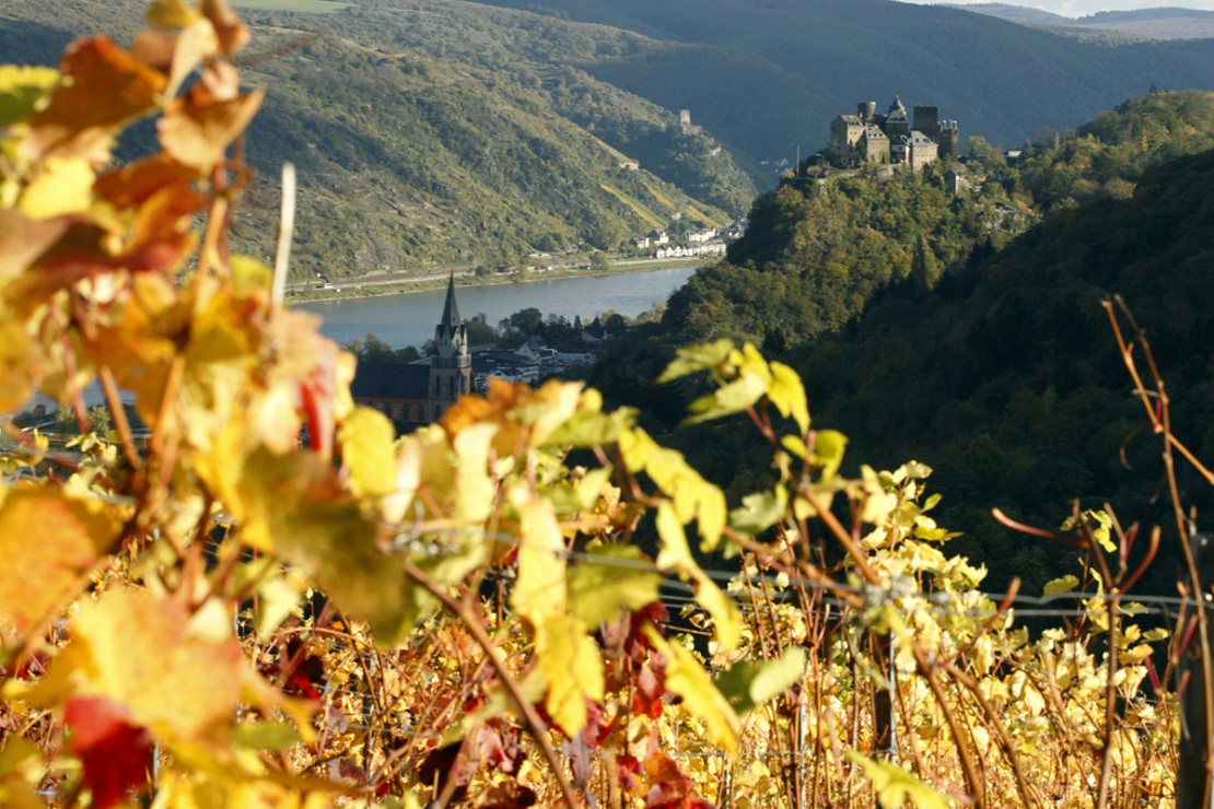Oberwesel: Weinprobe im Weingut Persch