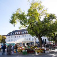 Vlexx freizeittipp Saarbruecken St Johanner Markt