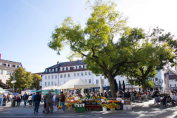 Vlexx freizeittipp Saarbruecken St Johanner Markt